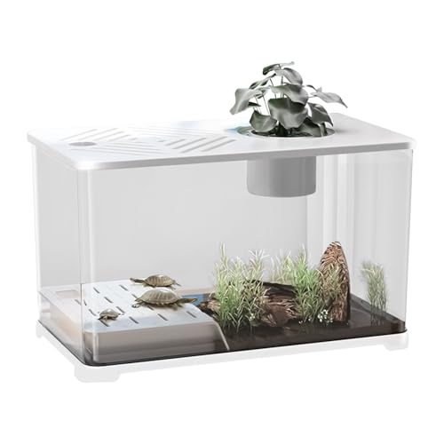 Yplkm Aquarium Becken - Großes Aquarium Set Tischaquarium | Panorama Behälter Mit Klar Sicht Moderne Heimdekoration Für Büro Wohnung Tischdekoration Schreibtischdekoration Yplkm Aquarium Becken - Großes Aquarium Set Tischaquarium | Panorama Behälter Mit Klar Sicht Moderne Heimdekoration Für Büro Wohnung Tischdekoration Schreibtischdekoration von Yplkm