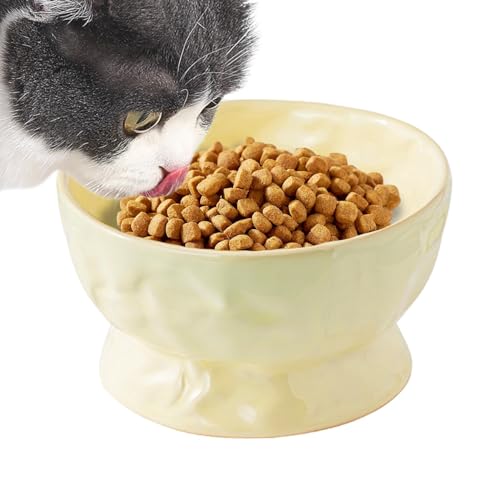 Erhöhter Katzen-Wassernapf, Keramik-Wassernapf, Futternapf, wiederverwendbar, geneigt, für kleine Katzen und Kätzchen im Innenbereich von Ysvnlmjy