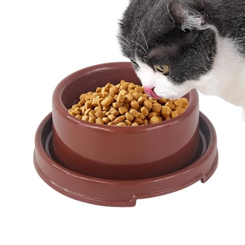 Hundefutterschale | Katzenfutter Geschirr Hund Feeder - Wasserabweisende Katzenfutterstation, Welpe Wassernäpfe für Indoor Pet Katzen Wasser, Trockenfutter, Nassfutter von Ysvnlmjy