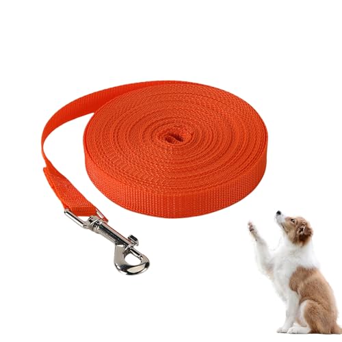 Schleppleine 10m für Hunde,Lange Hundeleine 10m,Dog Leash,Hunde Leine,Hundeleine Mittelgroße Hundeleinen,Flexi Schleppleinen für Hundeleinen,Leicht Joggingleine,Fahrrad mit Flexileine,Retrieverleine von YueJieSelected