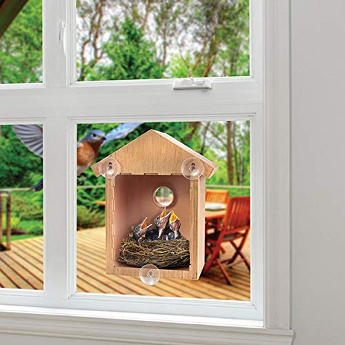 Yuehuam Vogelhaus Nistkasten mit Saugnäpfen Garten Vogelhaus für Kleine Vögel Spatzen Titten Robin Nester Garten Ornament Bodengröße: 5. 51X3. 94In von Yuehuam