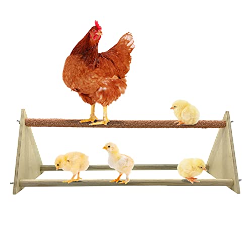 Yuehuamech Huhn Perch Holz Roosting Bars Huhn Spielzeug Huhn Dschungel Gym Holz Stand Pfote Schleifstab für Vogel Papageien Hennen Papageien Ara Brooder Coop Hühner von Yuehuamech