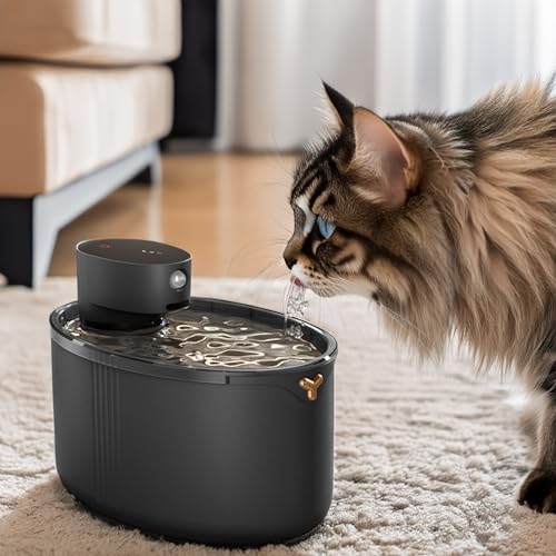 Katze- Wasser- Brunnen, 84oz/ 2. 5L drahtloser automatischer Katze- Brunnen 2 Modi batteriebetriebener Haustier- Wasser- Brunnen mit Bewegungssensor für Katzen, Hunde, mehrere Haustiere von Yuehuamech