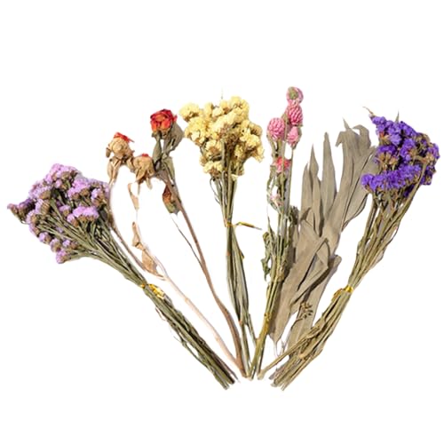 Yuemeuy Hamster Heublumen Einstreu | Hamster-Blumenbettwäsche | Geblümtes Hamsterkäfig Zubehör | Natürlich Getrocknete Blumen Für Sommer Desodorierungs Und Landschafts Zubehör | Für Kleine Haustiere Yuemeuy Hamster Heublumen Einstreu | Hamster-Blumenbettwäsche | Geblümtes Hamsterkäfig Zubehör | Natürlich Getrocknete Blumen Für Sommer Desodorierungs Und Landschafts Zubehör | Für Kleine Haustiere von Yuemeuy