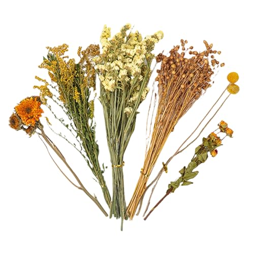 Yuemeuy Hamster Heublumen Einstreu | Hamster-Blumenbettwäsche | Geblümtes Hamsterkäfig Zubehör | Natürlich Getrocknete Blumen Für Sommer Desodorierungs Und Landschafts Zubehör | Für Kleine Haustiere Yuemeuy Hamster Heublumen Einstreu | Hamster-Blumenbettwäsche | Geblümtes Hamsterkäfig Zubehör | Natürlich Getrocknete Blumen Für Sommer Desodorierungs Und Landschafts Zubehör | Für Kleine Haustiere von Yuemeuy