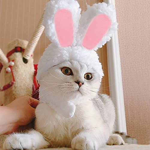 YUJUN Katze Ostern niedliches Kostüm Haustier Hase Kaninchen Hut mit Ohren für Katzen kleine Hunde Welpen Ostern Party Kostüm Zubehör Kopfbedeckung von Yujun