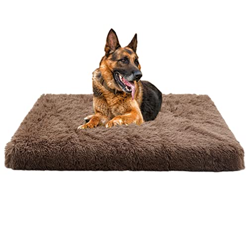 Yuly Flauschiges Hundebett mit Memory Foam,Orthopädische Hundekissen Große Hunde,Ergonomisches Hundesofa für Hunde und Katzen,Waschbar rutschfest Hundebetten(40x30cm) von Yuly