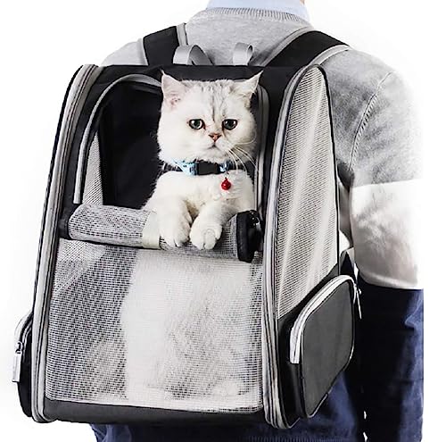 Haustier-Rucksack für kleine Katzen und Hunde, große Netzstoff-Transporttasche, atmungsaktiv, zusammenklappbar, für Outdoor-Reisen, Wandern, Camping, Schwarz von Yuly