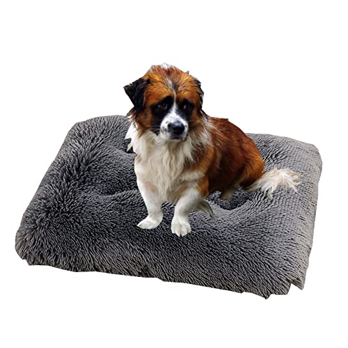 Yuly Flauschiges Hundebett, 94x63 cm Hundematte, Katzenbett, Hundesofa, Weiche und Bequeme PP Baumwolle Hundematratze, Polsterung, Entspannt Gelenke & Muskeln von Yuly