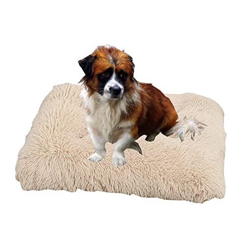 Yuly Flauschiges Hundebett, 94x63 cm Hundematte, Katzenbett, Hundesofa, Weiche und Bequeme PP Baumwolle Hundematratze, Polsterung, Entspannt Gelenke & Muskeln von Yuly