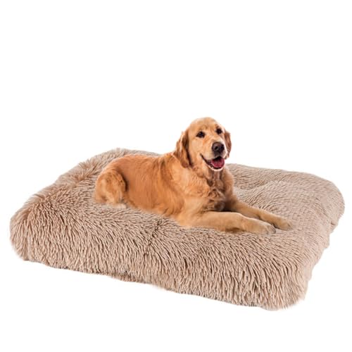 Yuly Hundebett,Waschbar Hundekissen flauschig,Länger Plüsch Hundekissen,rutschfeste Unterseite,Hundematte für große, mittelgroße Hunde,Haustierbett Hundematratze (65x48cm,Khaki) von Yuly