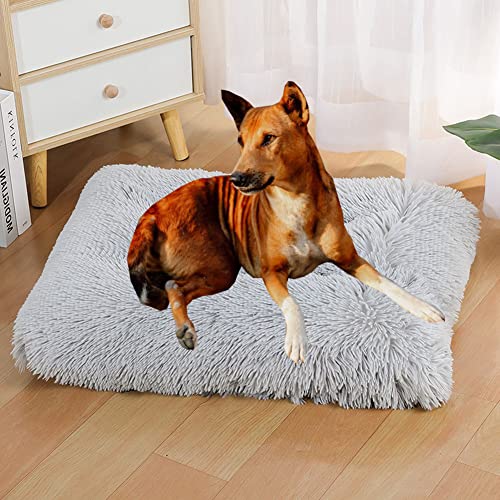 Yuly Hundematratze, Flauschig Hundebett, Hundekissen, Hundesofa, Hundebett mit Rutschfestem Boden, Super Weiches Haustierbett für Medium, Kleine Hunde Rassen von Yuly