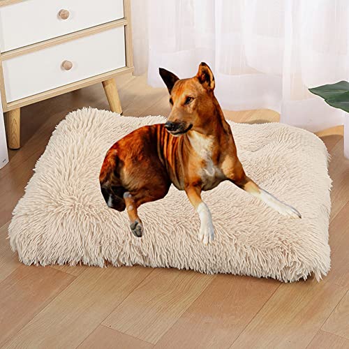 Yuly Hundematratze, Flauschig Hundebett, Hundekissen, Hundesofa, Hundebett mit Rutschfestem Boden, Super Weiches Haustierbett für Medium, Kleine Hunde Rassen von Yuly