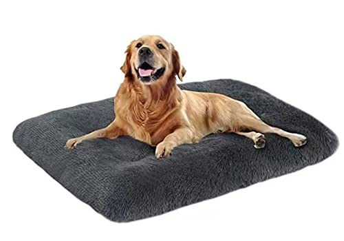 Yuly Hundesofa, 65x48cm Katzenkissen, Haustierkissen mit Rutschfester Rückseite, Weiches Plüsch Hundebetten für Camping, Auto, Hundekiste, Sofa, Boden von Yuly