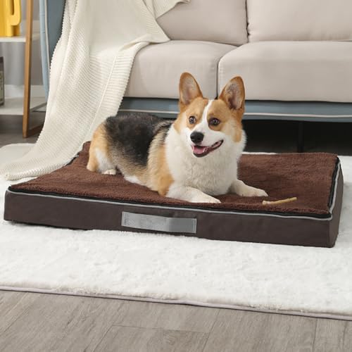 Yuly Orthopädisches Hundebett für große & kleine Hunde,Cozy Hundekissen,Memory Foam Hundematte,Waschbar Hundematratze,Hundekorb,rutschfeste Unterseite und Seitengriff (120x75x10cm,Braun) von Yuly