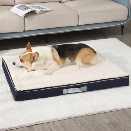 Yuly Orthopädisches Hundebett für große & kleine Hunde,Cozy Hundekissen,Memory Foam Hundematte,Waschbar Hundematratze,Hundekorb,rutschfeste Unterseite und Seitengriff (50x40x10cm,Weiß) von Yuly