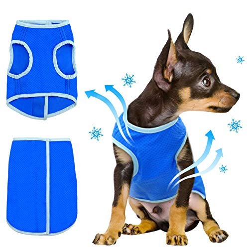 Yumech Haustiere Kühlung Weste Jacke Hund EIS- Kühlung Harness Mäntel Pet Kühler Weste Sun- Proof Pet Jacke Mesh Weste für Kleine Mittlere Welpen Katze Indoor Outdoor Sport von Yumech