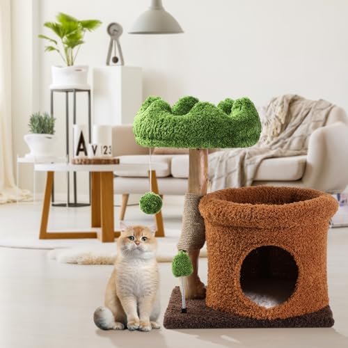 Kleiner Katzenbaum für Indoor-Katzen, große Erwachsene, niedlicher grüner Holz-Katzenbaum mit Kratzbaum, Blumen-Katzenbaum mit Katzenhütte, moderner Katzenbaum mit baumelnder Kugel und Weihnachtsbaum von Yungaspy