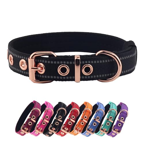 Yunleparks Gepolstertes Hundehalsband, Nylon-Hundehalsband für kleine, mittelgroße und große Hunde, robustes Hundehalsband mit Metallschnalle, reflektierendes Hundehalsband (groß, schwarz) von Yunleparks