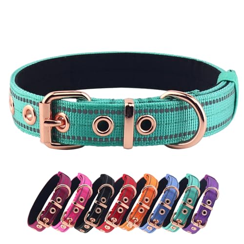 Yunleparks Gepolstertes Hundehalsband, Nylon-Hundehalsband für kleine, mittelgroße und große Hunde, robustes Hundehalsband mit Metallschnalle, reflektierendes Hundehalsband (mittelgroß, blaugrün) von Yunleparks