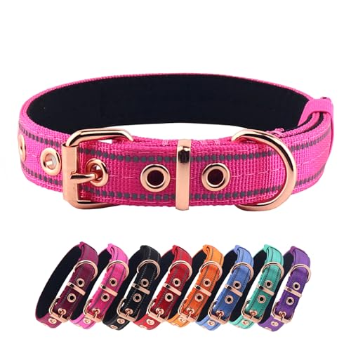 Hundehalsband Yunleparks, Gepolstertes Nylon-Hundehalsband, Robust mit Metallschnalle, Verstellbar, Reflektierend (groß, rosa) von Yunleparks