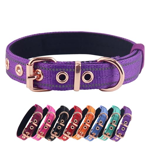 Yunleparks Gepolstertes Hundehalsband, Nylon-Hundehalsband für kleine, mittelgroße und große Hunde, robustes Hundehalsband mit Metallschnalle, verstellbares, reflektierendes Hundehalsband (groß, lila) von Yunleparks