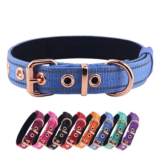 Yunleparks Gepolstertes Hundehalsband, Nylon-Hundehalsband für kleine, mittelgroße und große Hunde, robustes Hundehalsband mit Metallschnalle, verstellbares, reflektierendes Hundehalsband (groß, blau) von Yunleparks