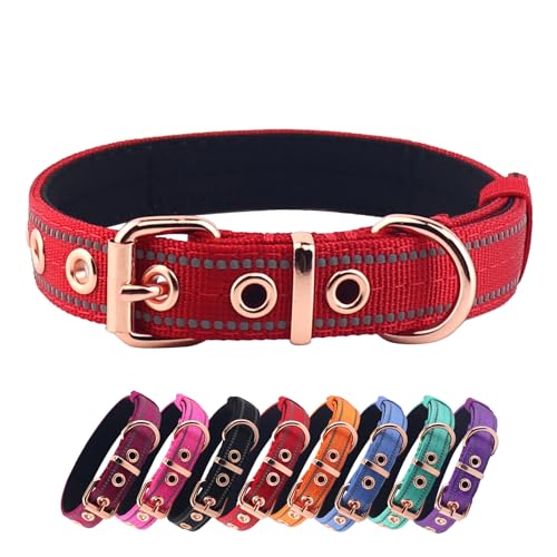 Yunleparks Gepolstertes Hundehalsband, Nylon-Hundehalsband für kleine, mittelgroße und große Hunde, robustes Hundehalsband mit Metallschnalle, verstellbares, reflektierendes Hundehalsband (klein, rot) von Yunleparks