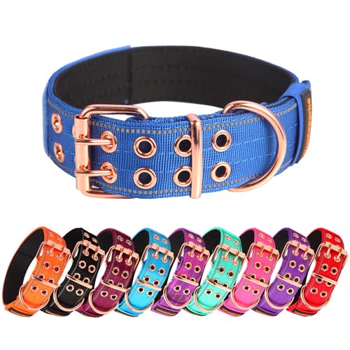 Yunleparks Strapazierfähiges Hundehalsband, taktisches Hundehalsband mit Neopren-Polsterung, Metallschnalle, reflektierendes Nylonhalsband für mittelgroße und große Hunde (Blau, Größe M) von Yunleparks