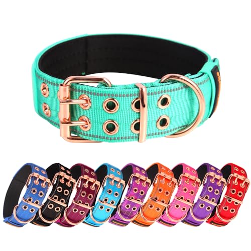 Yunleparks Strapazierfähiges Hundehalsband, taktisches Hundehalsband mit Neopren-Polsterung, Metallschnalle, reflektierendes Nylonhalsband für mittelgroße und große Hunde (Blaugrün, M) von Yunleparks