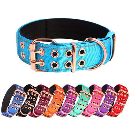 Yunleparks Strapazierfähiges Hundehalsband, taktisches Hundehalsband mit Neopren-Polsterung, Metallschnalle, reflektierendes Nylonhalsband für mittelgroße und große Hunde (Himmelblau, Größe M) von Yunleparks