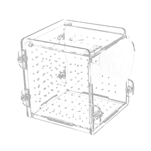 Yunnyp Aufzuchtbecken Aquarium Fisch Zuchttanks,Breeding Box Isolierung Acryl Box Brüterei Inkubator mit Saugnapf von Yunnyp