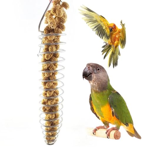 Meisenknödelhalter Vogelfutterhalter Futterspirale für Meisenknödel Nahrungssuche für Vogelkäfig hängende Edelstahl- Vogelfutterkorb für Obst Für Den Balkon für Wildvögel, Bird Feeder von Yunyahe