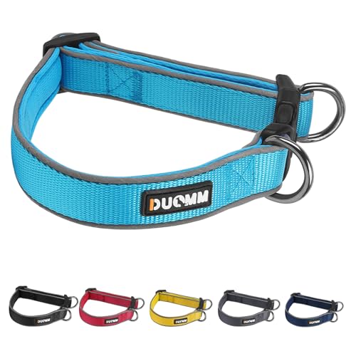 Hundehalsband, Nylon, geflochten, für große und mittelgroße Hunde, ohne Rücklauf, verstellbares Hundehalsband (Blau, L) von Yush Zhjsm
