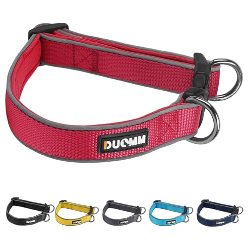 Hundehalsband, Nylon, geflochten, für große und mittelgroße Hunde, ohne Rücklauf, verstellbares Hundehalsband (Rot, L) von Yush Zhjsm