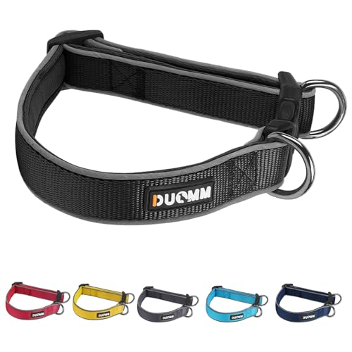 Hundehalsband, Nylon, geflochten, für große und mittelgroße Hunde, ohne Rücklauf, verstellbares Hundehalsband (Schwarz, M) von Yush Zhjsm