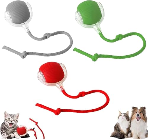 Interaktives Katzenspielzeug Katzenball, Katzenspielzeug Elektrisch Katzenball, Katzenspielzeug Selbstbeschäftigung, Automatisch Rollender Intelligenz Katzenspielzeug Ball für Katzen Hunde (3 Stücke) von YuuFcy