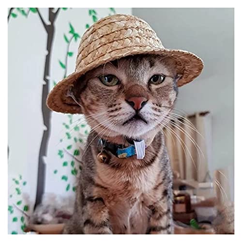 Z-LIANG Hawaiianische Stil pet Hut Stroh Hund Hut einstellbare Leine strandmütze für Katze welpen Kitten gestrickte Sonnenhut Haustier zubehör (Color : Beige, Tamaño : L) von Z-LIANG