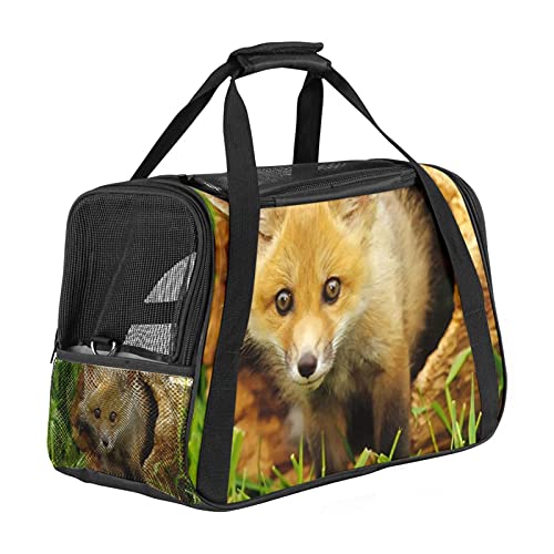 Katzentrage Baumloch Tier Fuchs Haustiertragetasche Fluggesellschaft zugelassen für kleine mittelgroße Katzen Hunde Welpen Kätzchen 43x26x30 cm von Z&Q