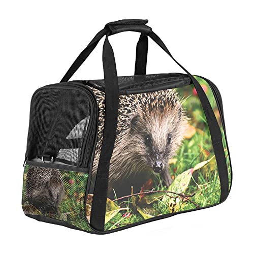 Katzentrage Igel Essen Haustiertragetasche Fluggesellschaft Zugelassen Für Kleine Mittelgroße Katzen Hunde Welpen Kätzchen 43x26x30 cm von Z&Q