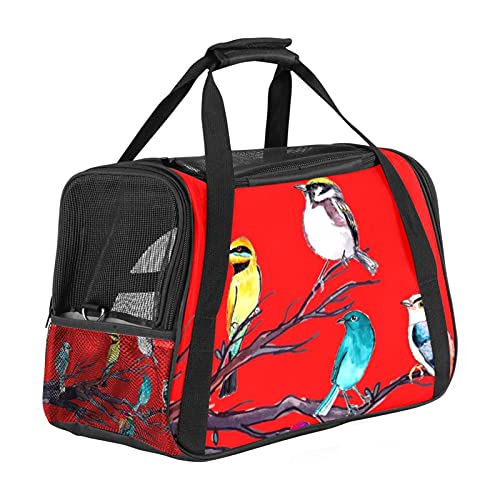 Katzentrage Vogel Rot Haustiertragetasche Fluggesellschaft zugelassen für kleine mittelgroße Katzen Hunde Welpen Kätzchen 43x26x30 cm von Z&Q