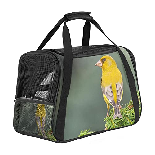 Katzentrage Zweig gelber Vogel Haustiertragetasche Fluggesellschaft zugelassen für kleine mittelgroße Katzen Hunde Welpen Kätzchen 43x26x30 cm von Z&Q