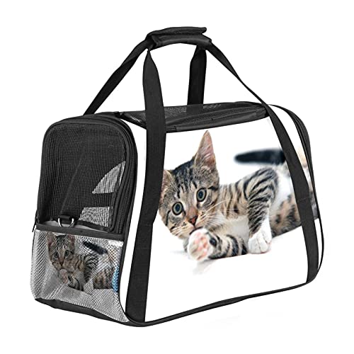 Liegende Katze Weiche Reisetasche für Hunde und Katzen Von der Fluggesellschaft zugelassen extrem atmungsaktiv 43x26x30 cm von Z&Q