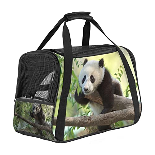 Reisetragetasche für Haustiere Zweig Panda Tier Tragbare Reisetasche für Hunde oder Katzen mit Sicherheitsreißverschlüssen 43x26x30 cm von Z&Q