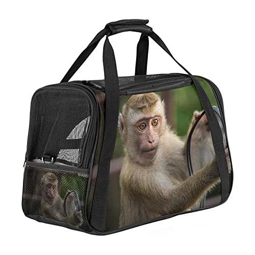 Tieraffe Spiegel Weiche Reisetasche für Hunde und Katzen Von der Fluggesellschaft zugelassen extrem atmungsaktiv 43x26x30 cm von Z&Q