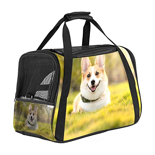 Tiercorgi Weiche Reisetasche für Hunde und Katzen Von der Fluggesellschaft zugelassen extrem atmungsaktiv 43x26x30 cm von Z&Q