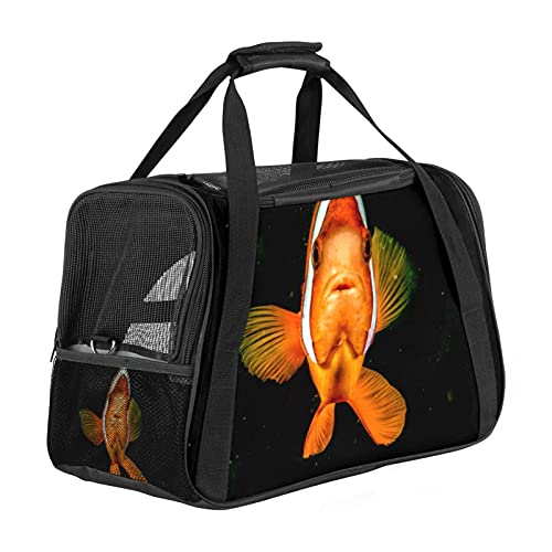 Tragetasche Für Haustiere Oranger Fisch Für Mittelgroße Katzen Und Kleine Hunde Mit 3 Türen Und Schultergurt, Leicht Zu Verstauen 43x26x30 cm von Z&Q