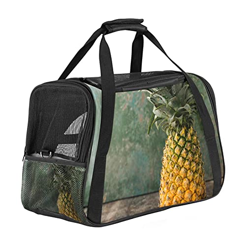 Tragetasche für Haustiere Ananas für mittelgroße Katzen und kleine Hunde mit 3 Türen und Schultergurt, leicht zu verstauen 43x26x30 cm von Z&Q