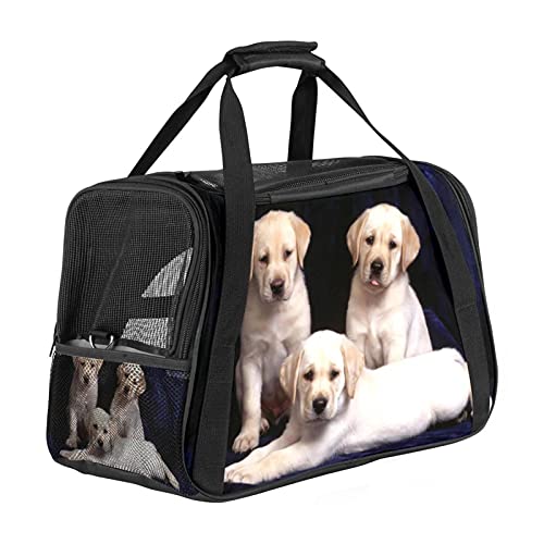 Tragetasche für Haustiere Tier Hund für mittelgroße Katzen und kleine Hunde mit 3 Türen und Schultergurt, leicht zu verstauen 43x26x30 cm von Z&Q