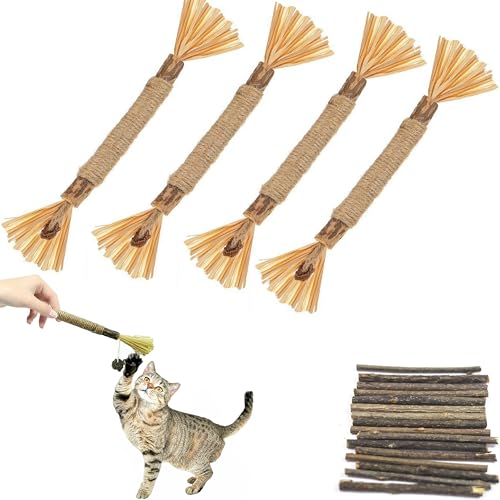 ZAHD 24 Stück katzenminze matatabi Sticks Katzen Katzen Kauhölzer Gegen Mundgeruch Natürlich Sicher Katzensticks Katzensticks Zur Zahnreinigung Matatabi Katzenminze Bälle Katzen Zahnpflege Natürlich von ZAHD